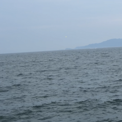 今年初の淡路島