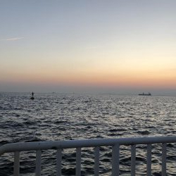 強制日光浴野郎