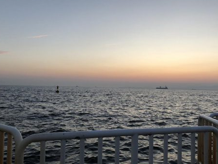 強制日光浴野郎