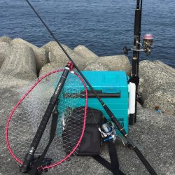 バイブレーション‼️