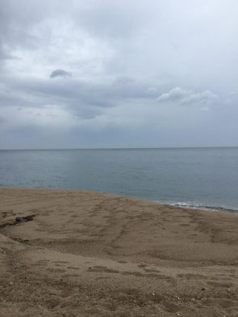 SLSでマゴチヒット！