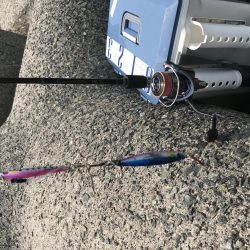 ラッキー！ジグパラw