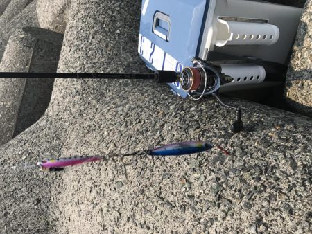 ラッキー！ジグパラw