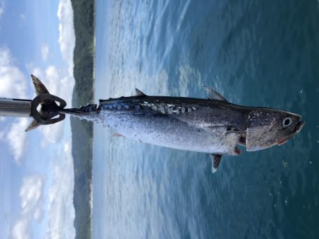 まさかの?!5種目