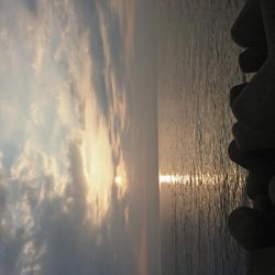 朝マズメ  ライトショアジギング