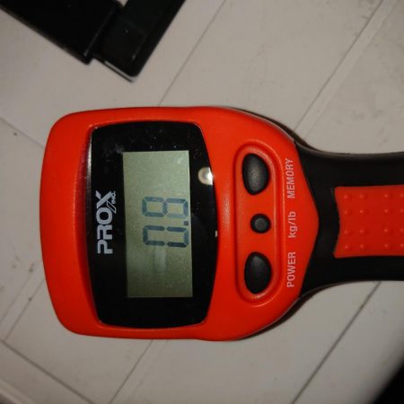 潮が動きだしたその時！