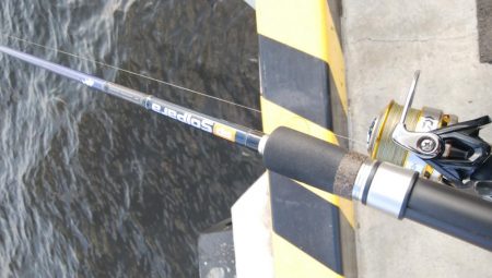 今日はまったり釣行