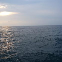 サイズは小さいです。