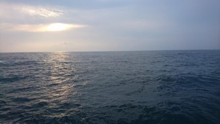 サイズは小さいです。