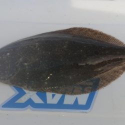 キス復活の兆し