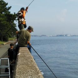 雨上がりも福浦岸壁は釣り座も満席御礼!