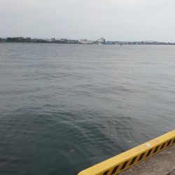 キス釣りからのジギング