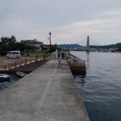 洲本川のキス情報