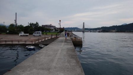 洲本川のキス情報