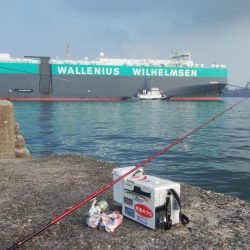 播磨新島のキス情報