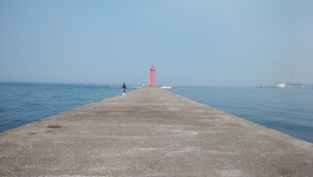 播磨新島のキス情報