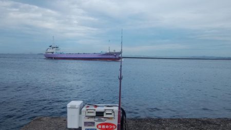 播磨新島でシーズン最大のキスが釣れました