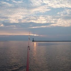 午後から播磨新島へキス釣査