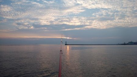 午後から播磨新島へキス釣査