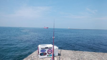 播磨新島の良型キス復活