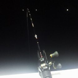 台風直前白イカ釣行