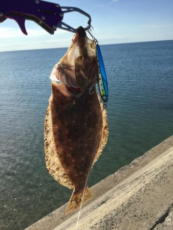 北条海岸ヒラメ釣り