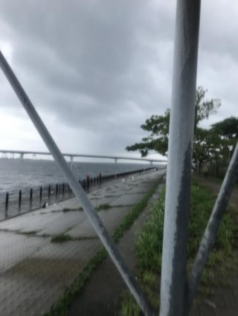 8月28日 神戸空港 ツバス