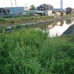 稲美町・小物釣り