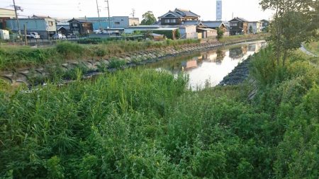 稲美町・小物釣り