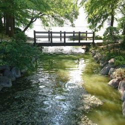 天満大池公園・小物釣り
