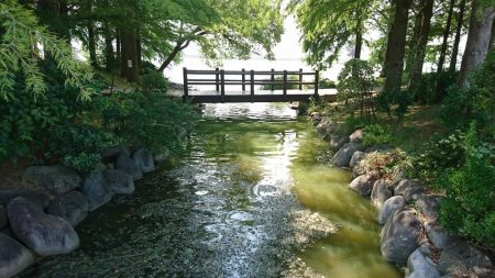 天満大池公園・小物釣り