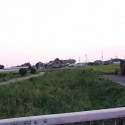 夕まずめのナマズ釣り