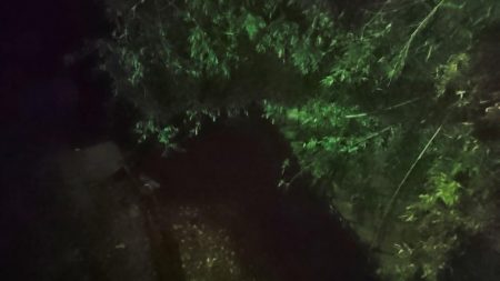 でかナマズ釣り