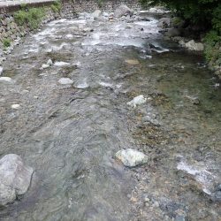 揖保川渓流釣り