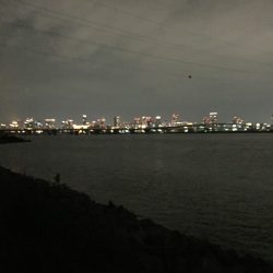 台風明けの偏食パターン？？