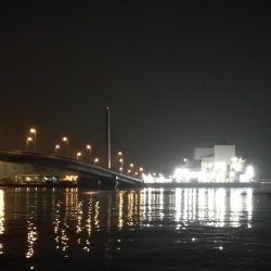 南港ヘチ釣行 (8/4 8月イン南港ヘチ。。キビレチヌ32cm など 釣果有り)