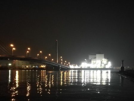 南港ヘチ釣行 (8/4 8月イン南港ヘチ。。キビレチヌ32cm など 釣果有り)