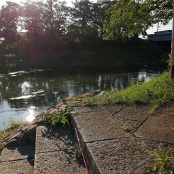 たびたび夕涼み