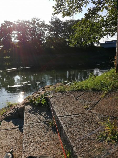 たびたび夕涼み