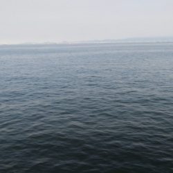 今日は急遽ガシリング