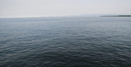 今日は急遽ガシリング