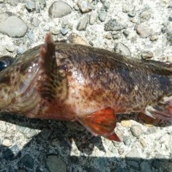 おじさんの夏休み