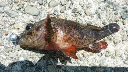 おじさんの夏休み