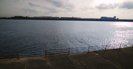 今日もハマチサイズ求めて