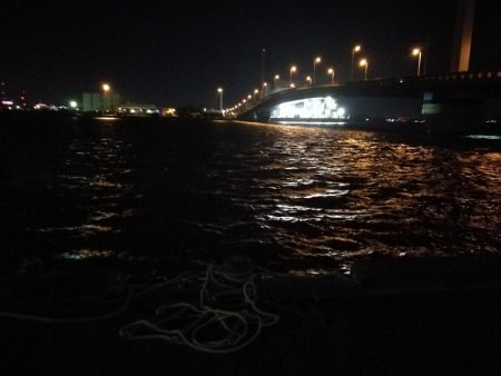 南港ヘチ釣行 (8/14 台風が来るぞ!強風の南港ヘチ。。キビレチヌ47cm、ガシラ釣果有り)