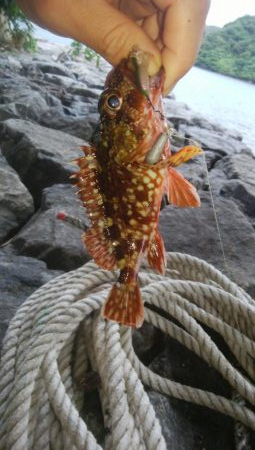 台風前に穴釣り