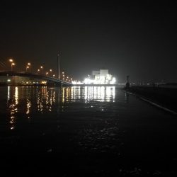 南港ヘチ釣行 （8/17 台風後の南港ヘチ。。真チヌ46cm、キビレチヌ 釣果有り）