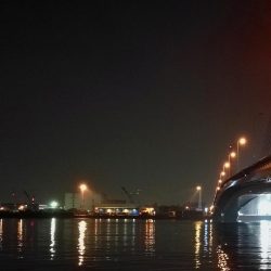 南港ヘチ釣行 （8/18 お盆最終日の南港ヘチ。。キビレチヌ45.5cm、真チヌ、ガシラ 釣果有り）