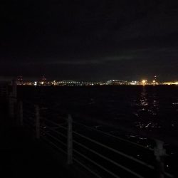 南港ヘチ釣行 (8/21 久々のコスモでヘチ釣り、マダコ、ガシラ釣果有り)