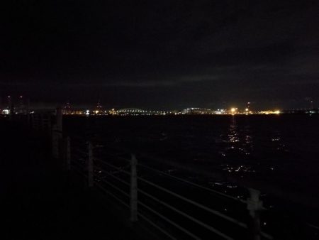 南港ヘチ釣行 (8/21 久々のコスモでヘチ釣り、マダコ、ガシラ釣果有り)